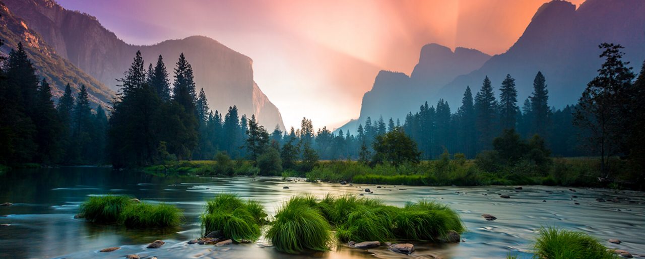 Yosemite - SEO Case Study